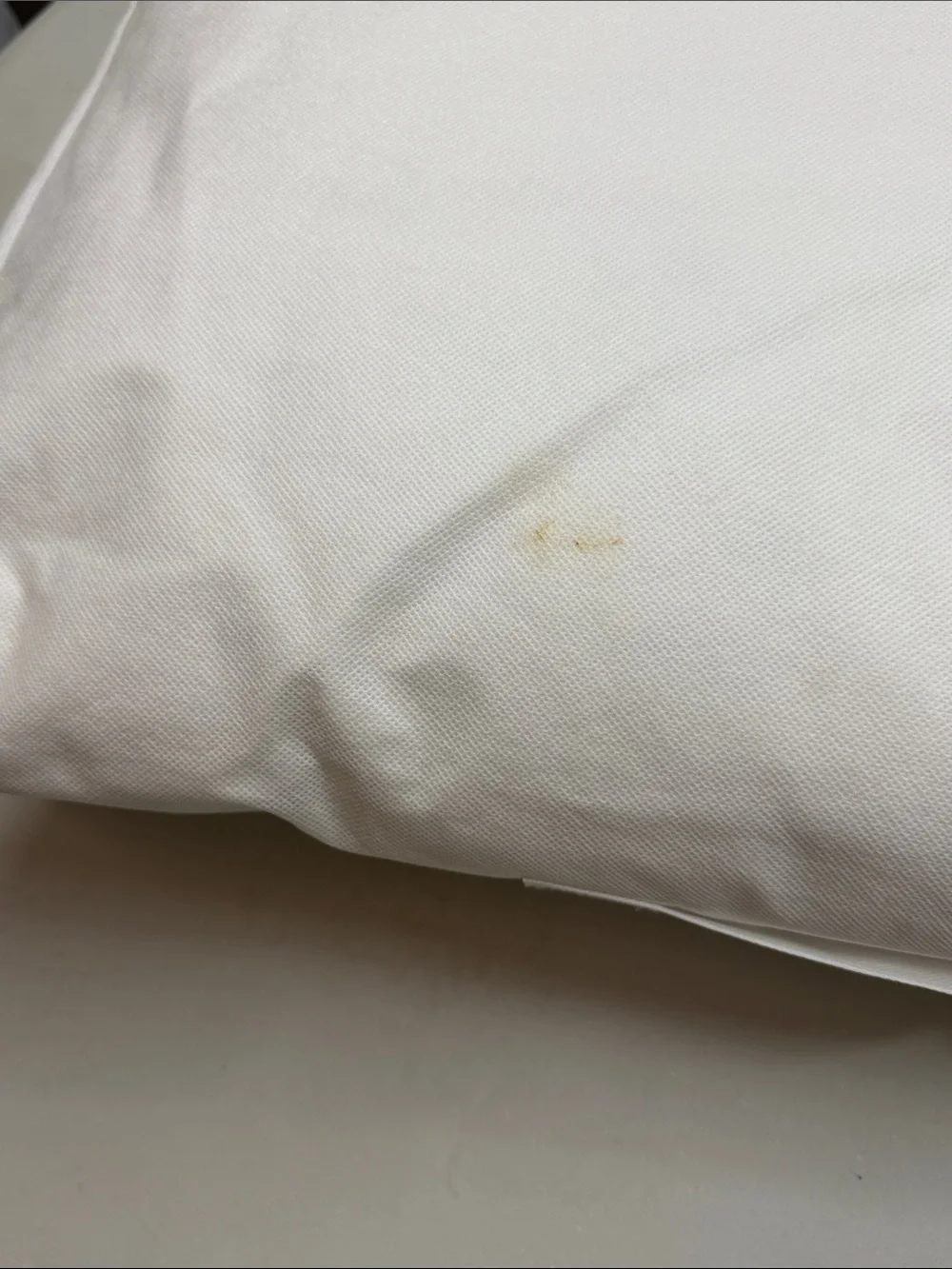 NWT QUINCE Premium Down Pillow Standard Medium Firmness 9918